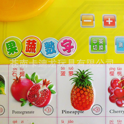 【早教益智玩具 婴幼儿启蒙玩具 宝宝玩具 益智玩具 早教玩具】价格,厂家,图片,教具、早教机,苍南卡迪龙玩具-
